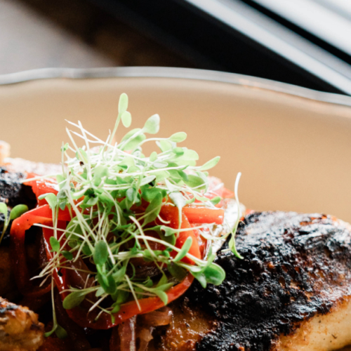 Grilled chicken topped with microgreens and sliced red peppers on a plate.